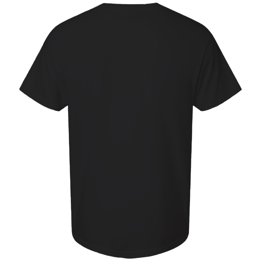 Comfort Colors 1717 — back