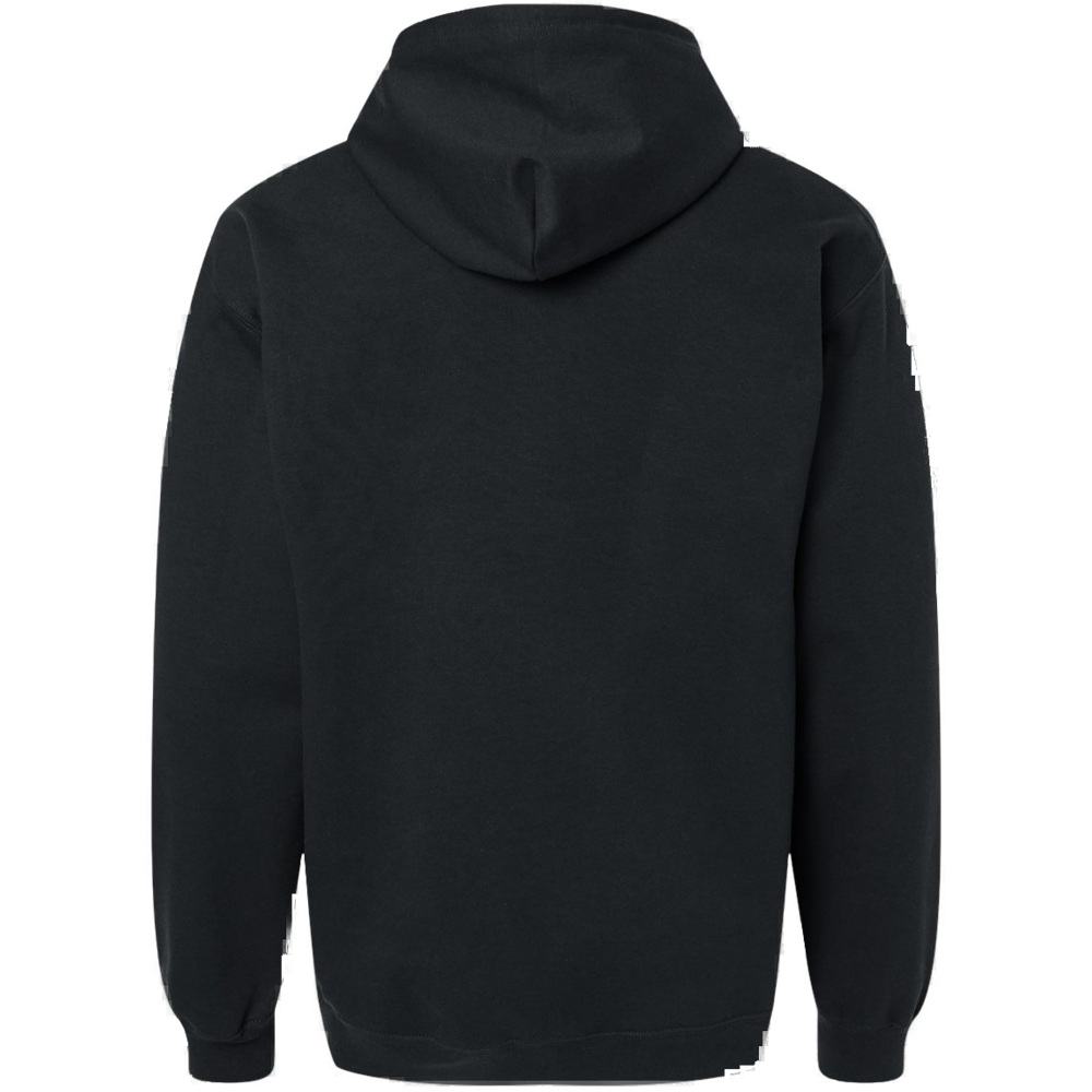 Unisex Softstyle® Full-Zip Hooded Sweatshirt Naples — back