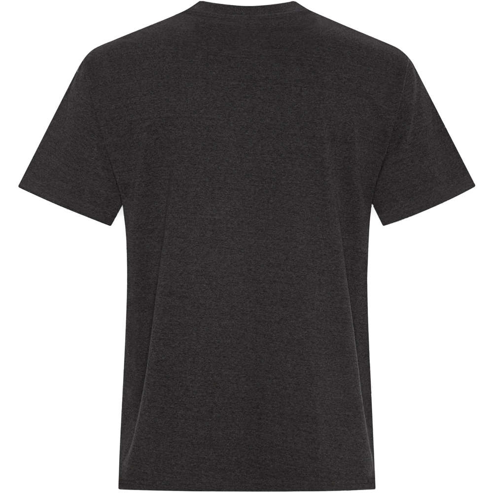 Everyday Earth Wash Tee — back